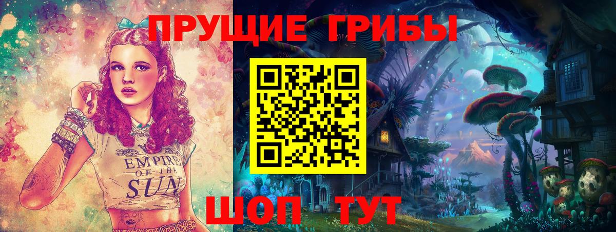 Псилоцибиновые грибы Psilocybine cubensis  Вход с VPN  Гурьевск  Псилоцибиновые грибы Cubensis 